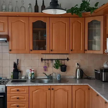 U Misi V Brdech Apartment Pribram Exterior photo